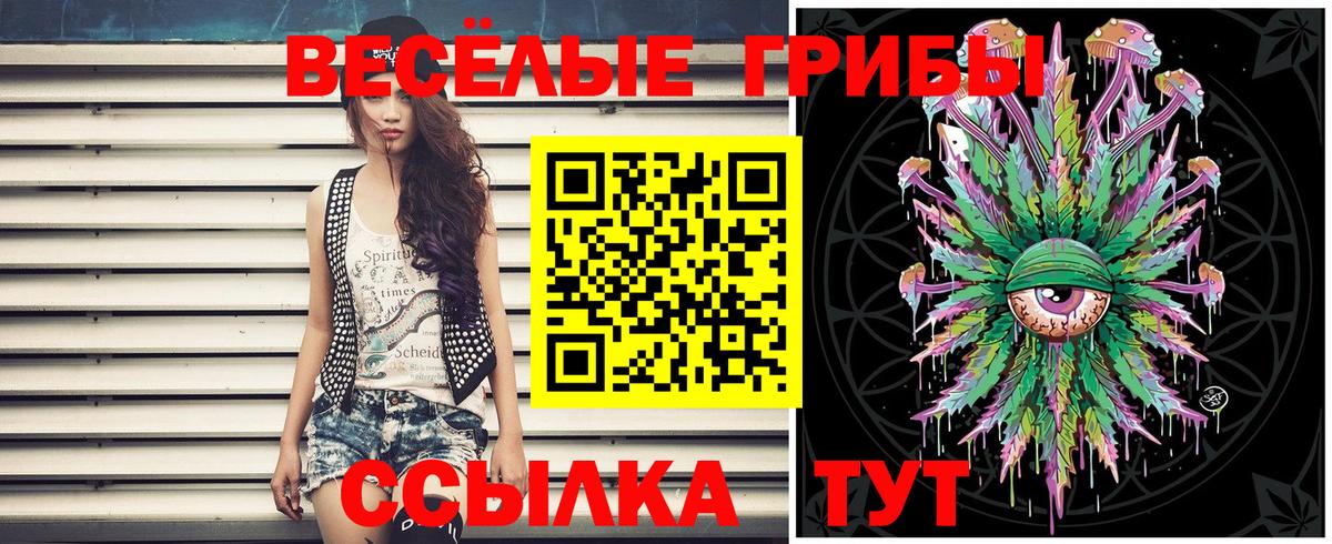 Галлюциногенные грибы Cubensis Пугачёв